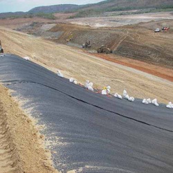 Geomembrane
